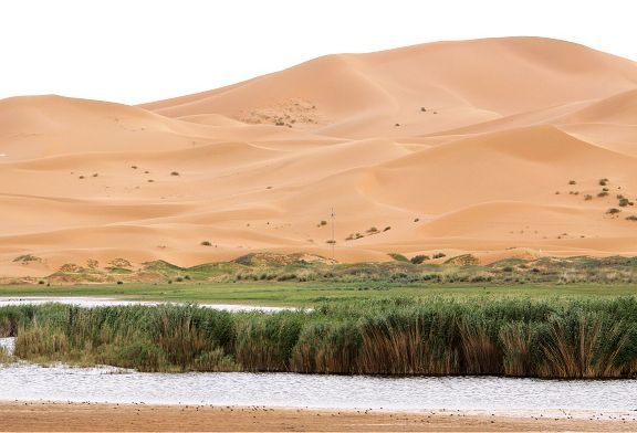 沙漠绿洲.jpg