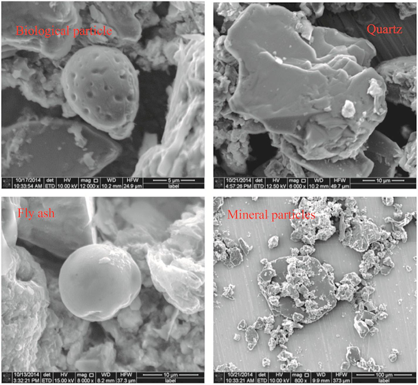 Typical morphology of individual particles in the glacier cryoconite from Mt. Yulong