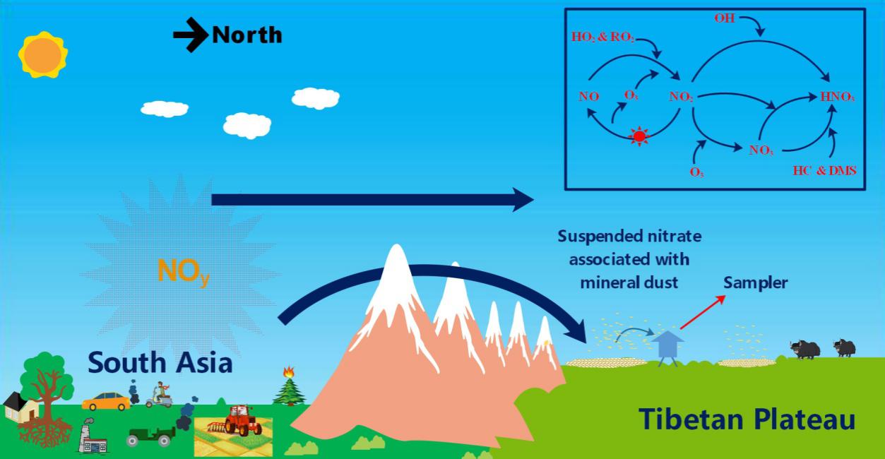 Schematic illustration of South Asia sourced nitrate aerosols transported to the Tibetan Plateau as well as its formation mechanisms in the troposphere.jpg