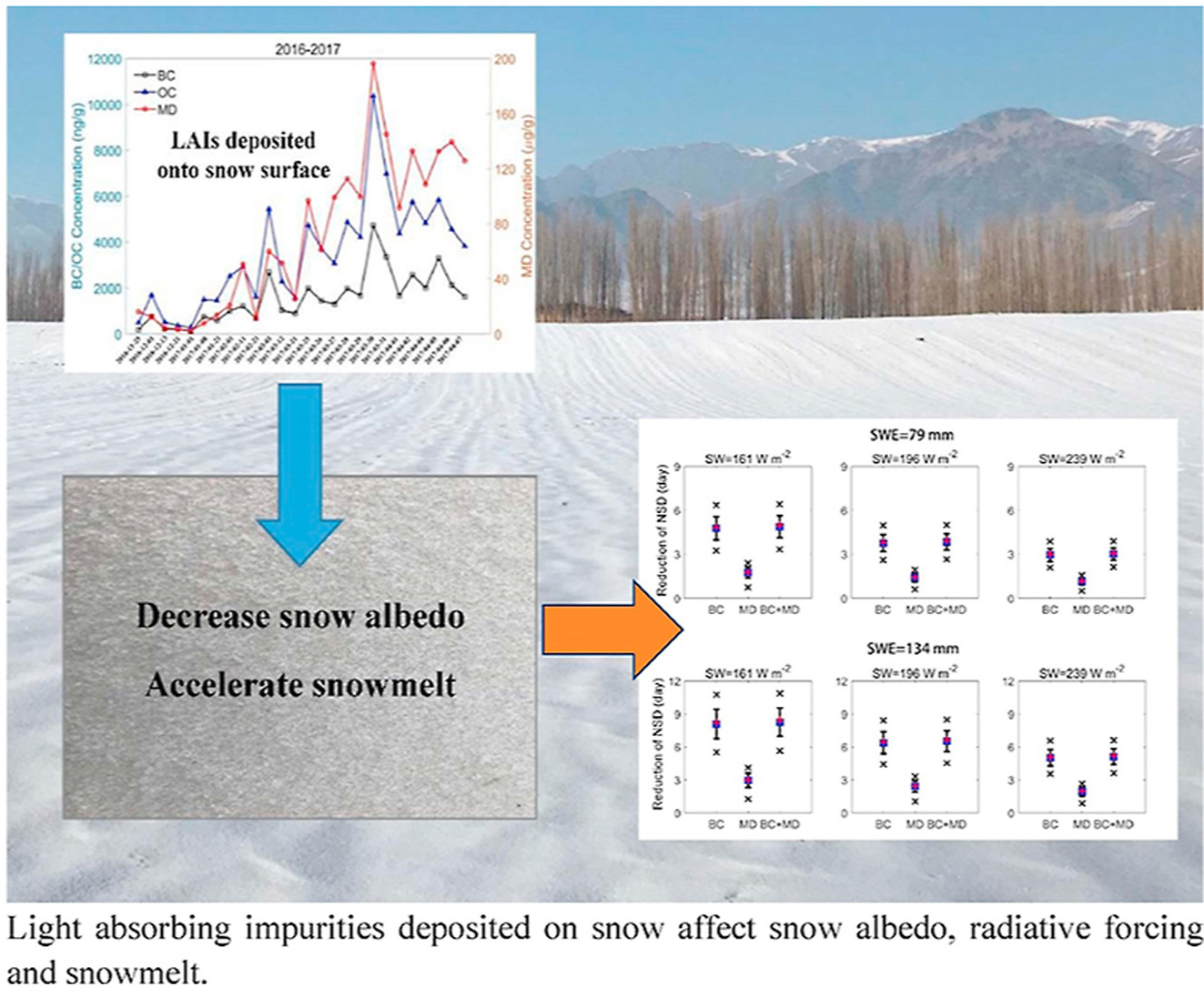 Light absorbing impurities deposited on snow affect snow albedo, radiative forcing and snowmelt.jpg