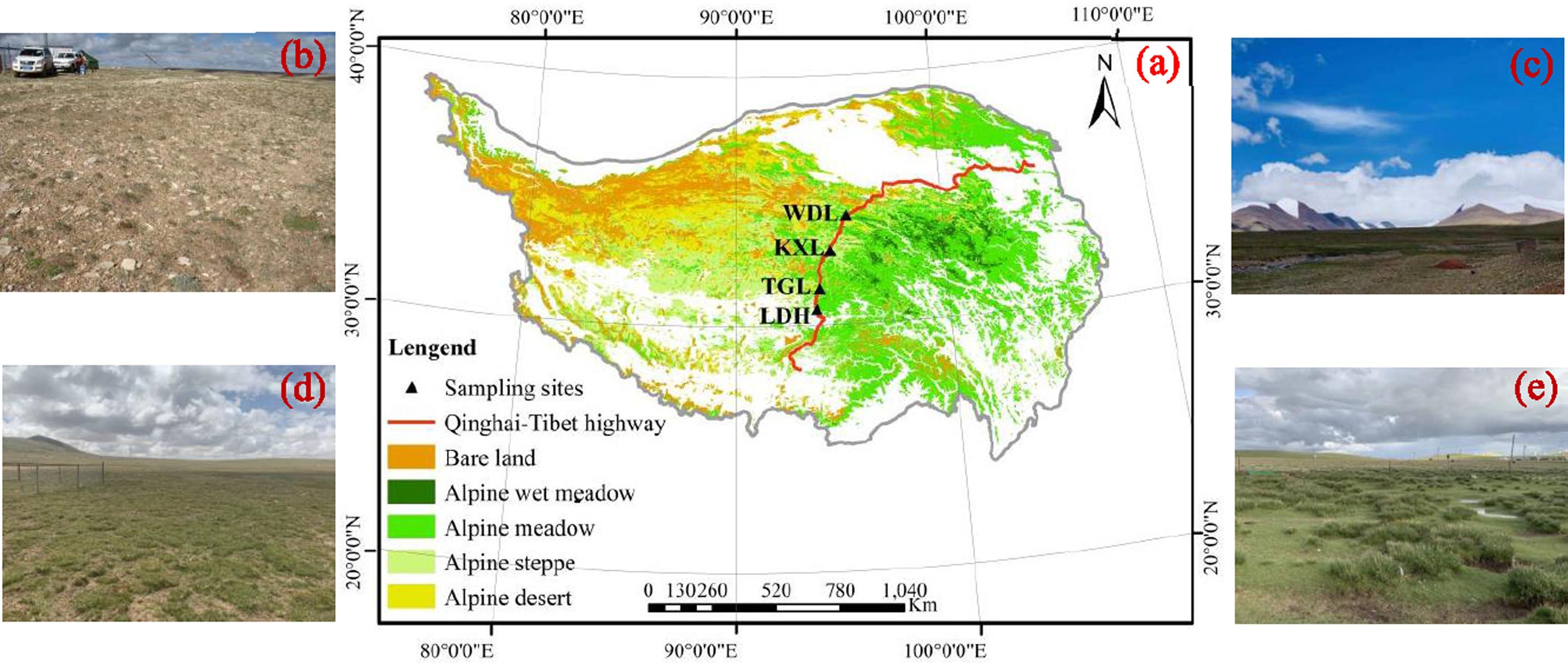 The location of observation sites and the classification of land cover types in the permafrost regions on the QTP.jpg