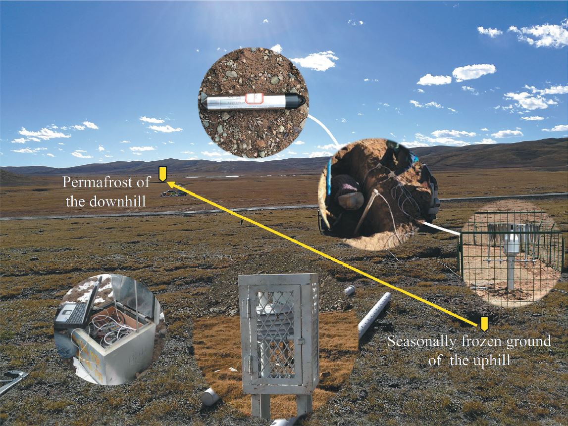 field monitoring site of the study area.JPG