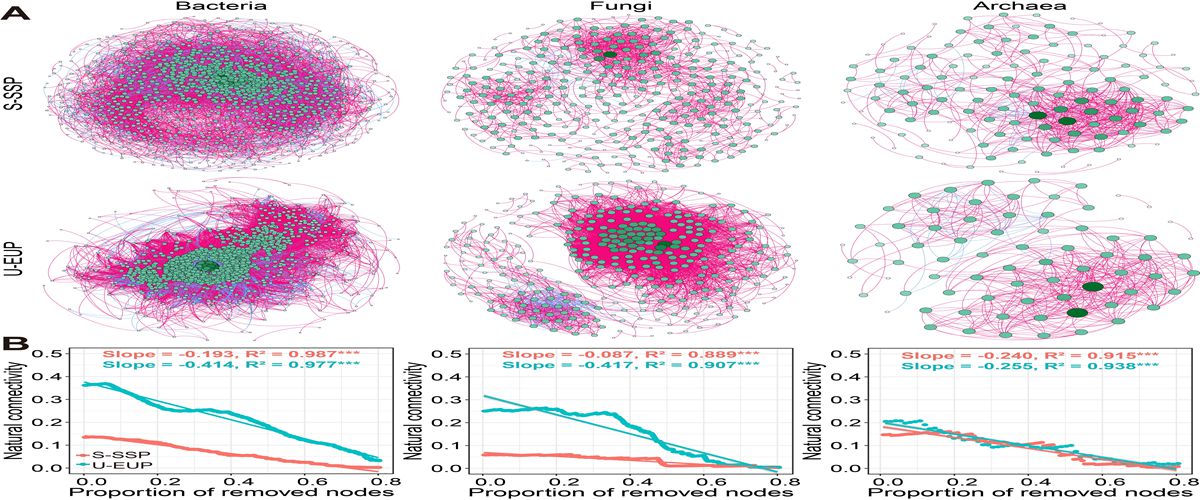 Co-occurrence networks and robustness analysis for microbial communities between lightly and severely degraded permafrost.jpg