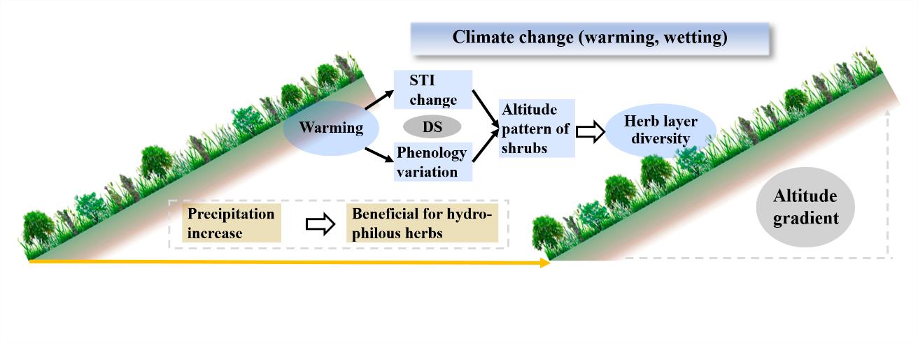 亚高山灌木群落物种多样性对气候变化的响应模式.jpg