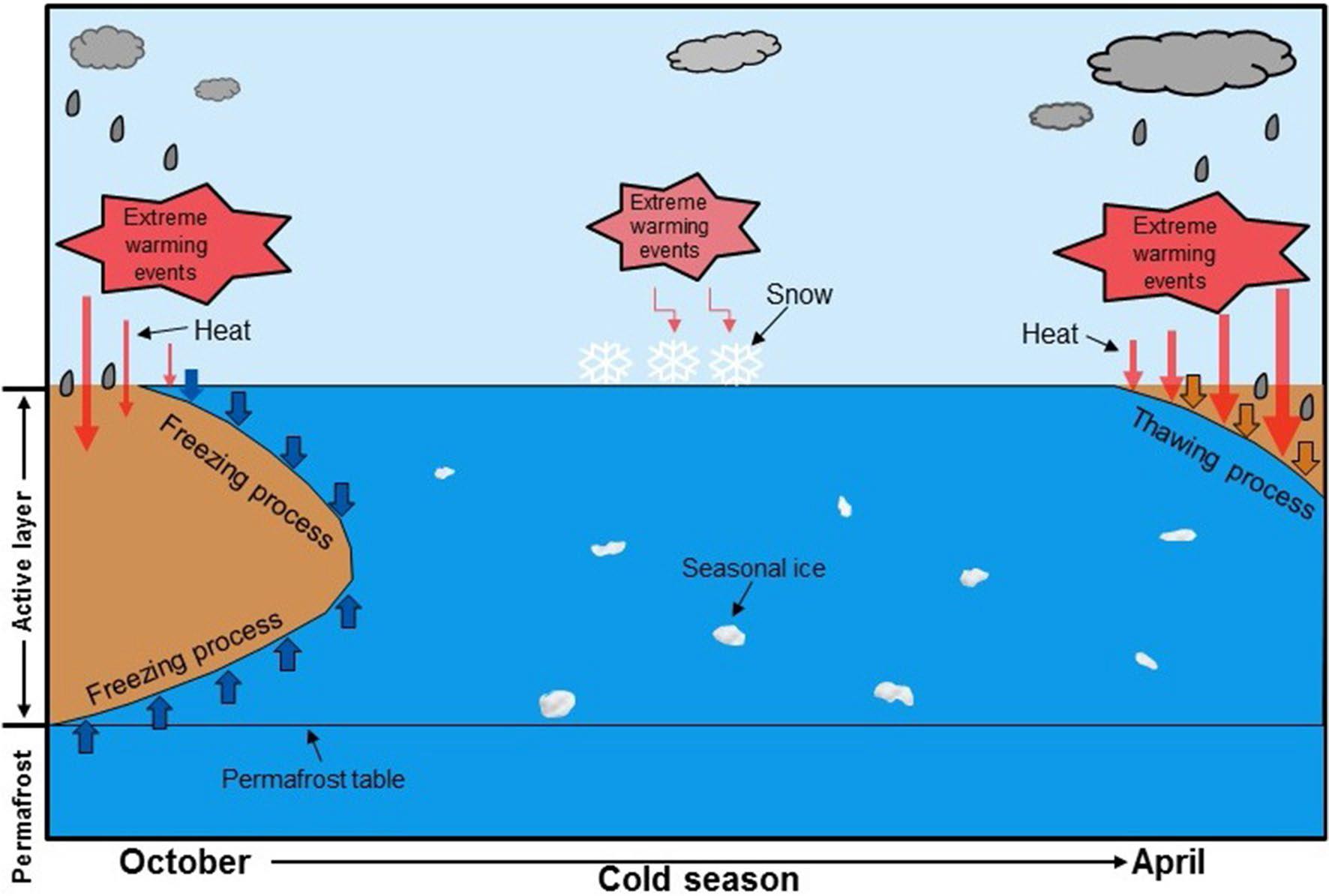 Sketch map of the impacts of extreme warming events on the hydrothermal process of active layer.jpg