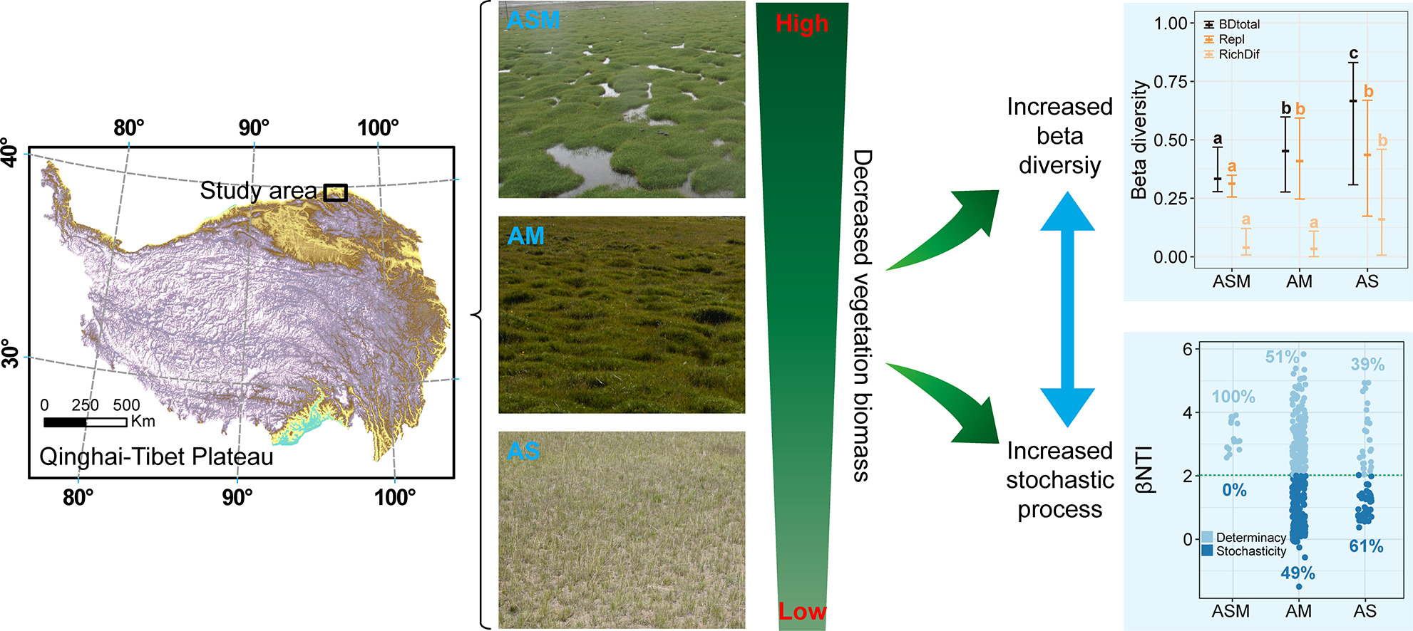 Vegetation Biomass Affects Soil Microbial Distribution and Assembly in Alpine Permafrost Regions