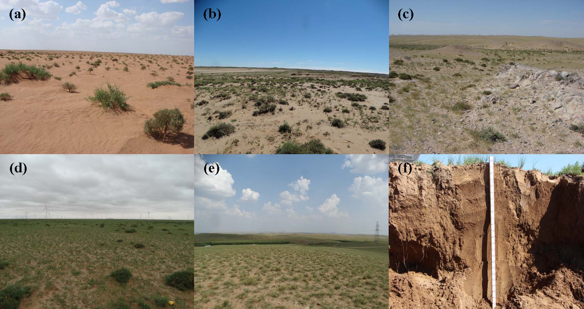Exploring Patterns of Soil Organic C, N and P Stoichiometry across Desert-grassland Transition Zone