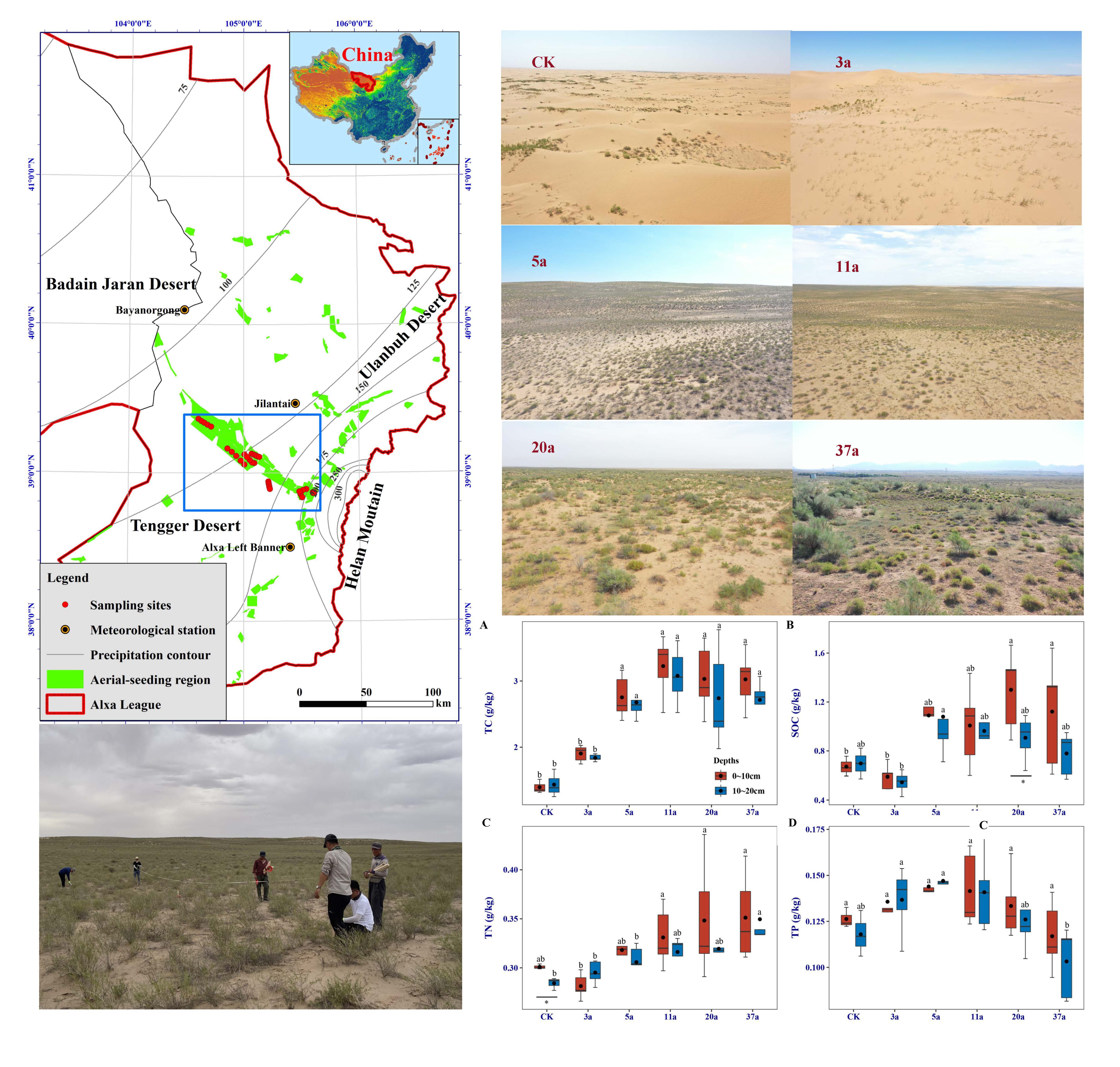 How Afforestation by Aerial Sowing Affects Topsoil Physicochemical Properties in Deserts?