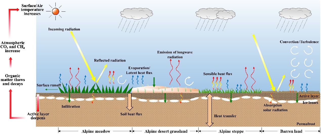 不同高寒草地类型对地表水热交换的影响以及多年冻土融化释放碳.jpg