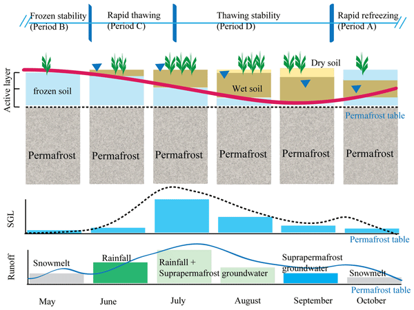 Permafrost Changes Impact Runoff Generation Processes and Water Conservation Capacity in Alpine Watersheds