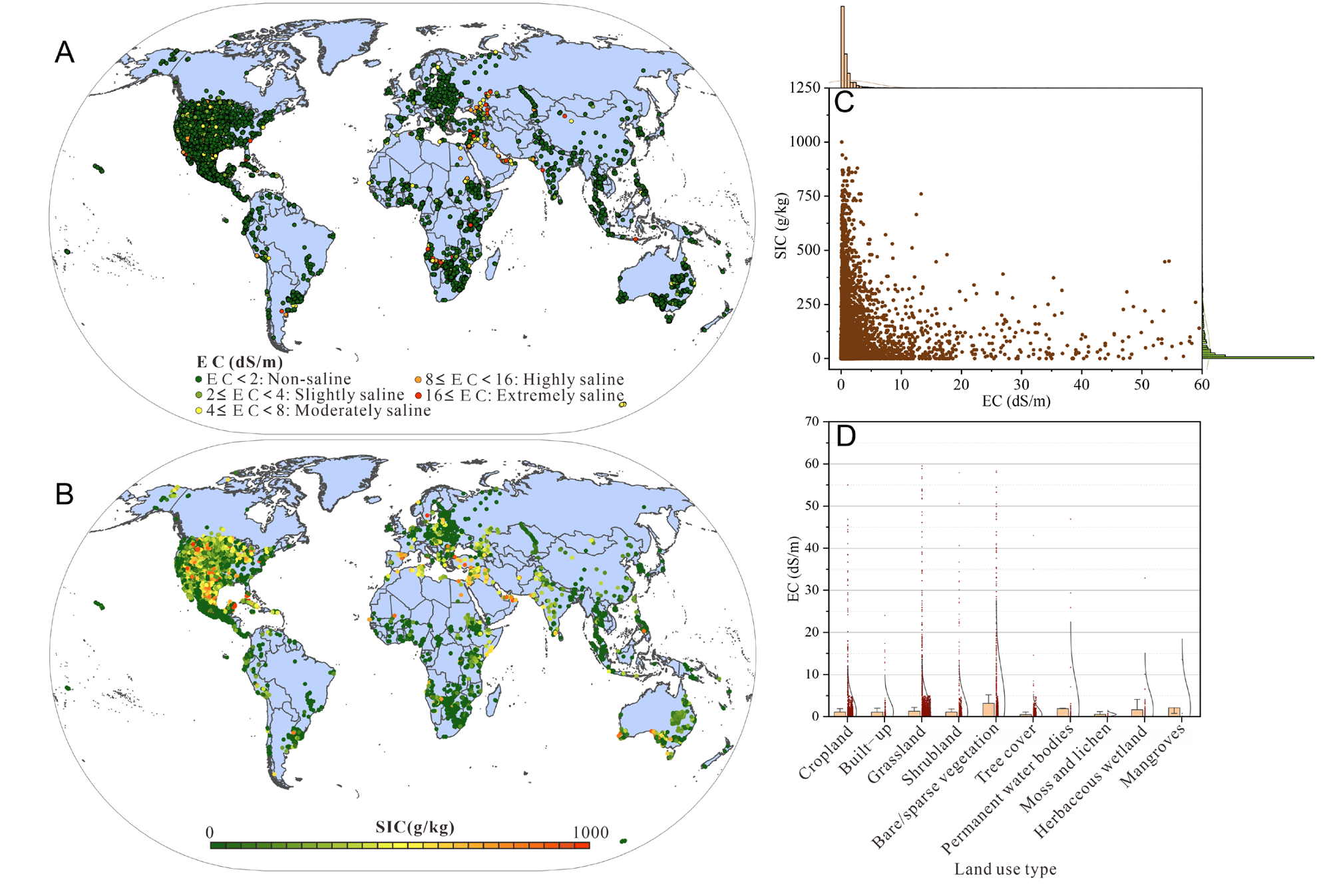 Increased Soil Salinity Alters Global Inorganic Carbon Storage