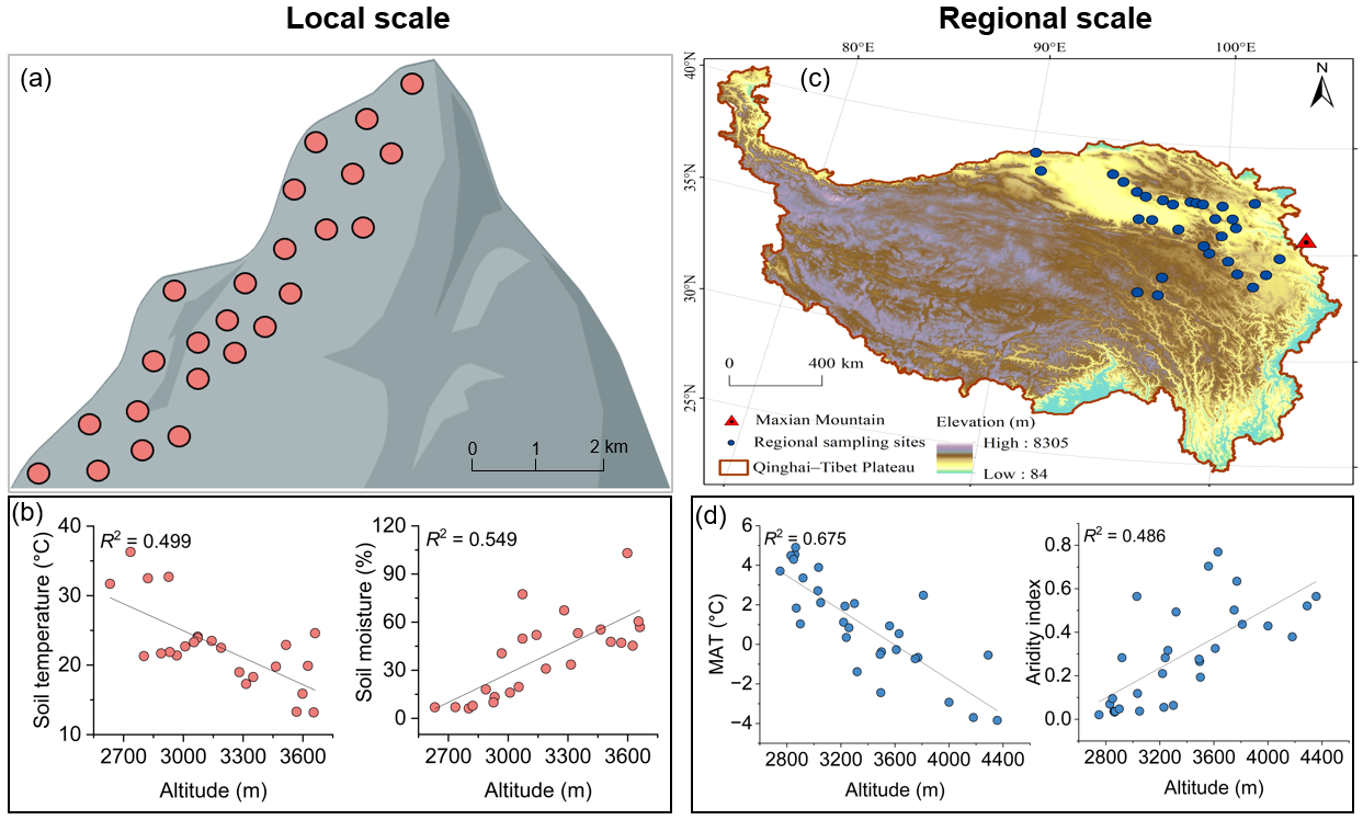 NIEER scientists Reveal the Elevation-Dependent Contributions of Plant- and Microbial-Derived Carbon to Soil Organic Carbon